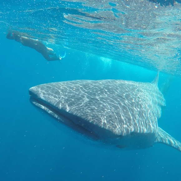 Meet your Posher, Christine - Picture 1 of 1